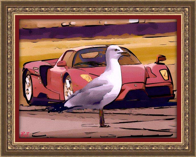 GULL ON THE ROAD